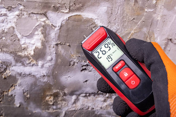 Mold Removal and Inspection in Union Springs, NY
