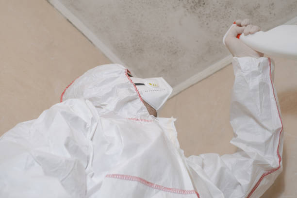 Best Crawl Space Mold Removal  in Union Springs, NY